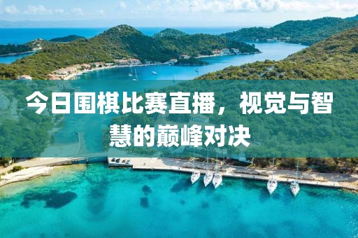 今日围棋比赛直播，视觉与智慧的巅峰对决
