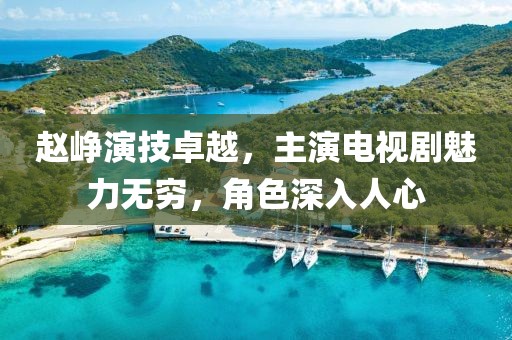 赵峥演技卓越，主演电视剧魅力无穷，角色深入人心