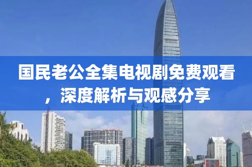 国民老公全集电视剧免费观看，深度解析与观感分享