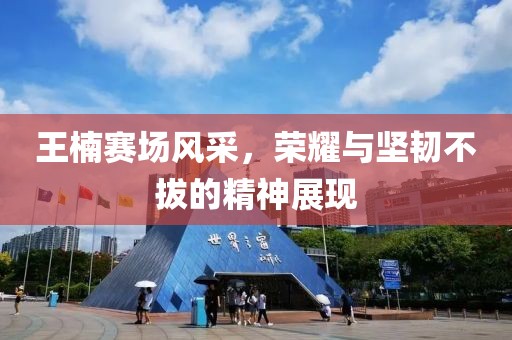 王楠赛场风采，荣耀与坚韧不拔的精神展现
