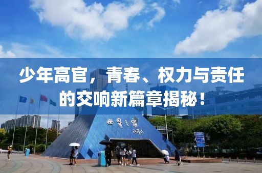 少年高官，青春、权力与责任的交响新篇章揭秘！