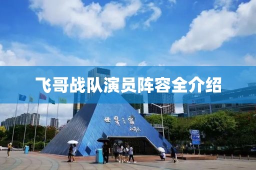 飞哥战队演员阵容全介绍