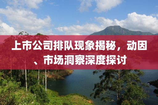 上市公司排队现象揭秘，动因、市场洞察深度探讨