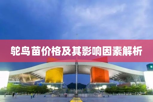 鸵鸟苗价格及其影响因素解析