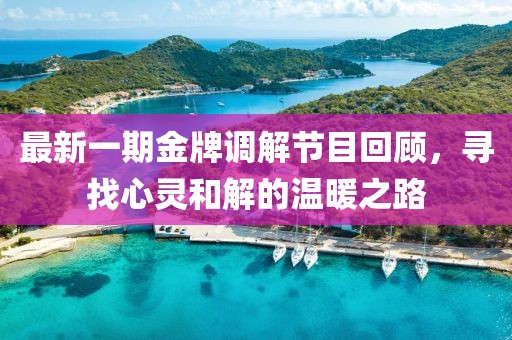 最新一期金牌调解节目回顾，寻找心灵和解的温暖之路