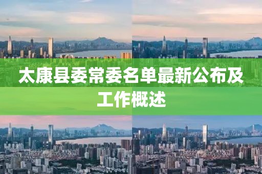 太康县委常委名单最新公布及工作概述
