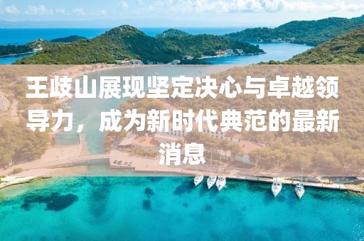 王歧山展现坚定决心与卓越领导力，成为新时代典范的最新消息