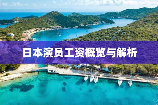 日本演员工资概览与解析