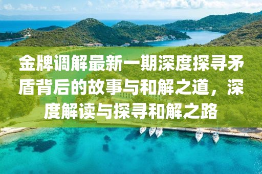 金牌调解最新一期深度探寻矛盾背后的故事与和解之道，深度解读与探寻和解之路