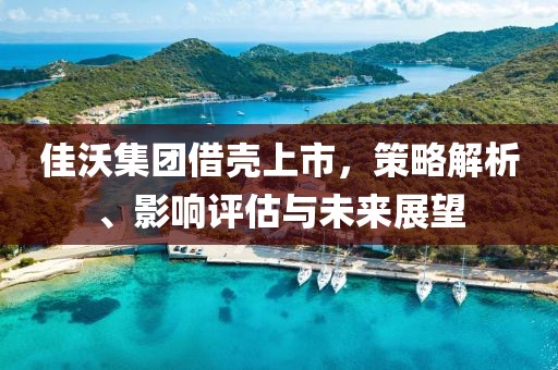 佳沃集团借壳上市，策略解析、影响评估与未来展望