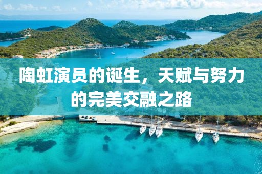 陶虹演员的诞生，天赋与努力的完美交融之路
