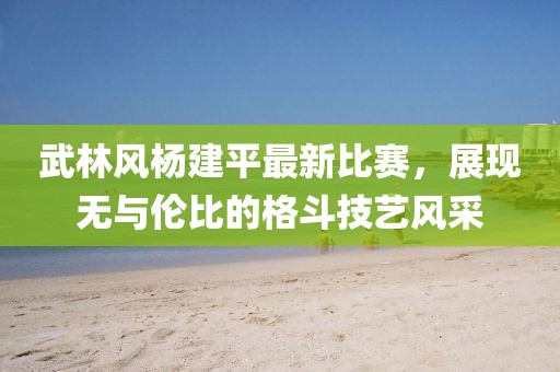 武林风杨建平最新比赛，展现无与伦比的格斗技艺风采