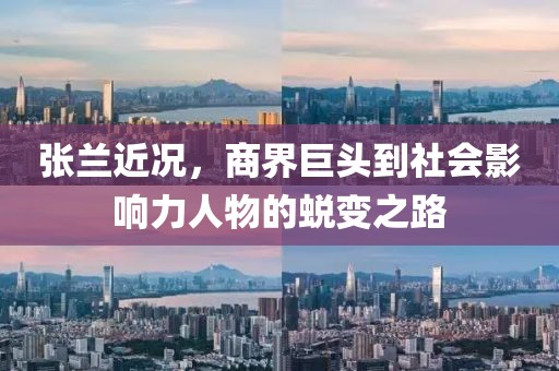 张兰近况，商界巨头到社会影响力人物的蜕变之路