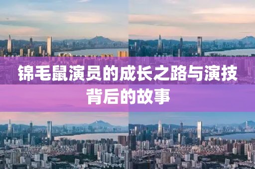 锦毛鼠演员的成长之路与演技背后的故事