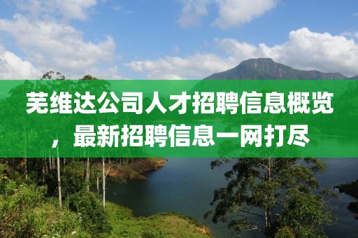 芜维达公司人才招聘信息概览，最新招聘信息一网打尽