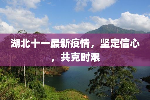 湖北十一最新疫情，坚定信心，共克时艰