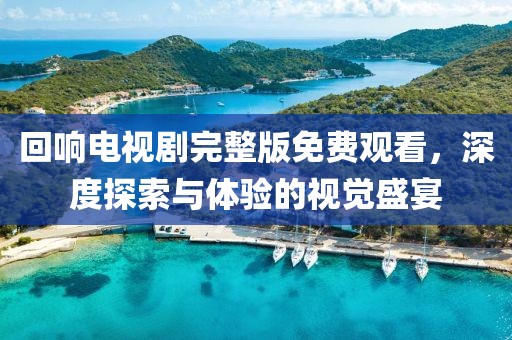 回响电视剧完整版免费观看，深度探索与体验的视觉盛宴