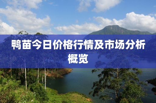 浅色夏沫 第25页