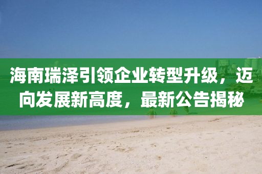 海南瑞泽引领企业转型升级，迈向发展新高度，最新公告揭秘