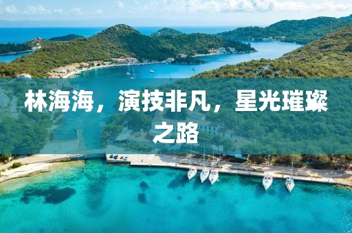 林海海，演技非凡，星光璀璨之路
