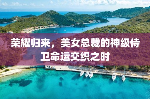 荣耀归来，美女总裁的神级侍卫命运交织之时