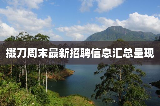 掇刀周末最新招聘信息汇总呈现