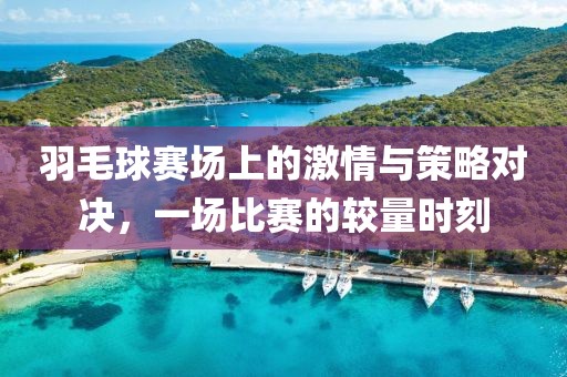 羽毛球赛场上的激情与策略对决，一场比赛的较量时刻
