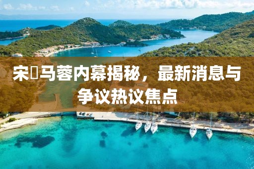 宋喆马蓉内幕揭秘，最新消息与争议热议焦点