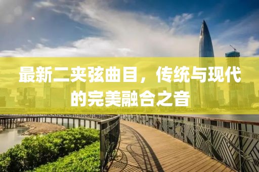 最新二夹弦曲目，传统与现代的完美融合之音