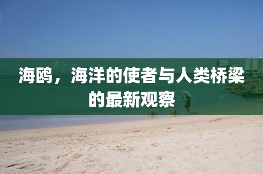 海鸥，海洋的使者与人类桥梁的最新观察