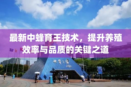 最新中蜂育王技术，提升养殖效率与品质的关键之道