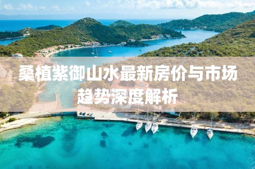桑植紫御山水最新房价与市场趋势深度解析