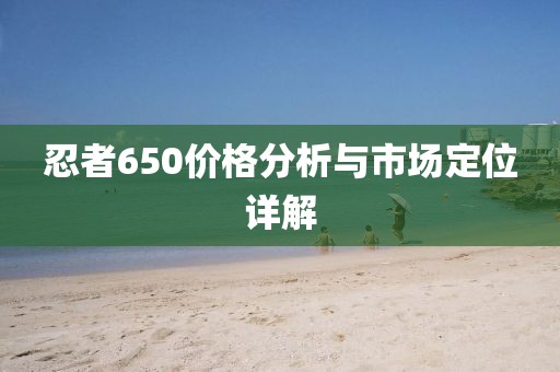 忍者650价格分析与市场定位详解