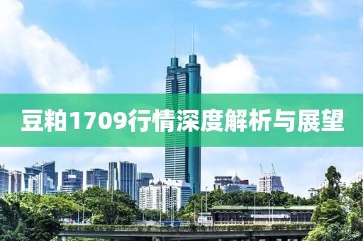 豆粕1709行情深度解析与展望