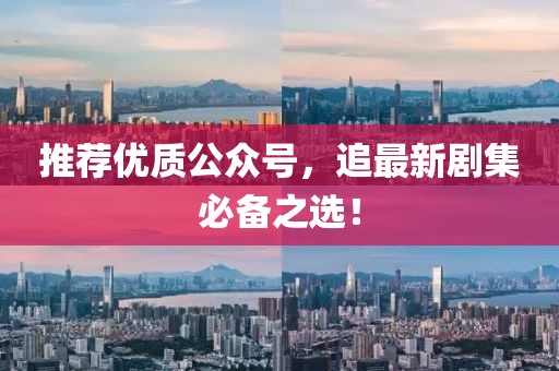 推荐优质公众号，追最新剧集必备之选！