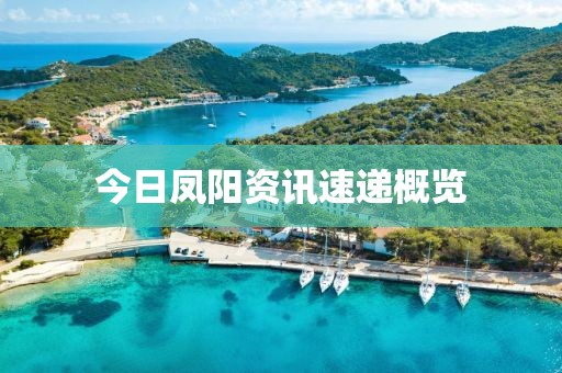 今日凤阳资讯速递概览