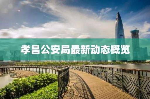 孝昌公安局最新动态概览