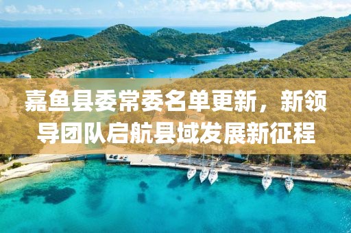 嘉鱼县委常委名单更新，新领导团队启航县域发展新征程