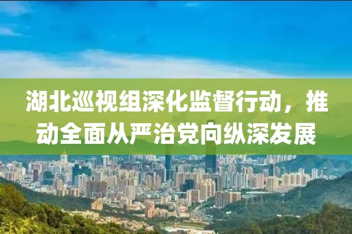 湖北巡视组深化监督行动，推动全面从严治党向纵深发展