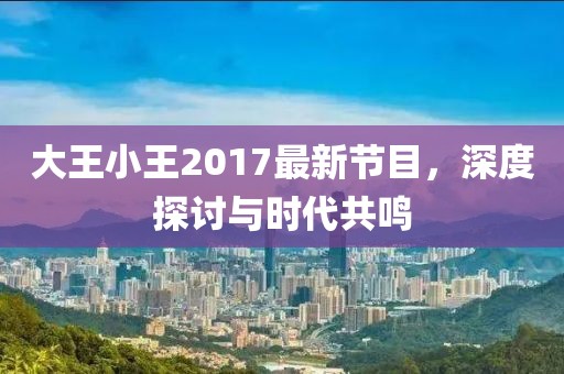 大王小王2017最新节目，深度探讨与时代共鸣