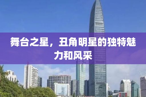 舞台之星，丑角明星的独特魅力和风采