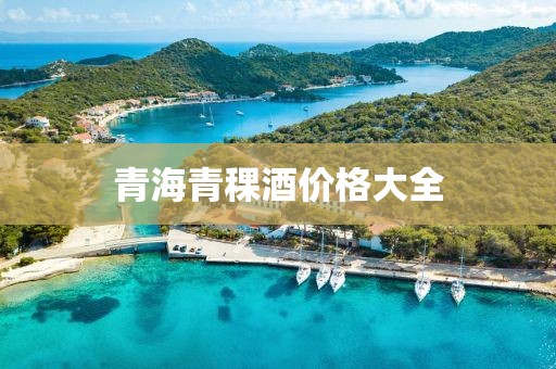 青海青稞酒价格大全