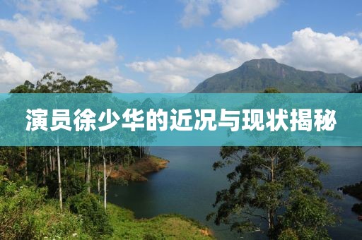 演员徐少华的近况与现状揭秘