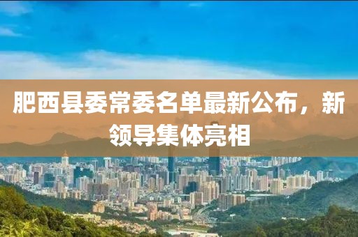 肥西县委常委名单最新公布，新领导集体亮相