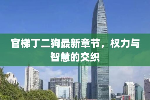 官梯丁二狗最新章节，权力与智慧的交织