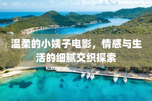 温柔的小姨子电影，情感与生活的细腻交织探索