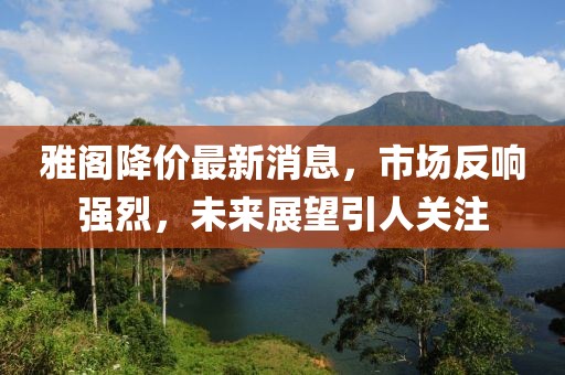 雅阁降价最新消息，市场反响强烈，未来展望引人关注