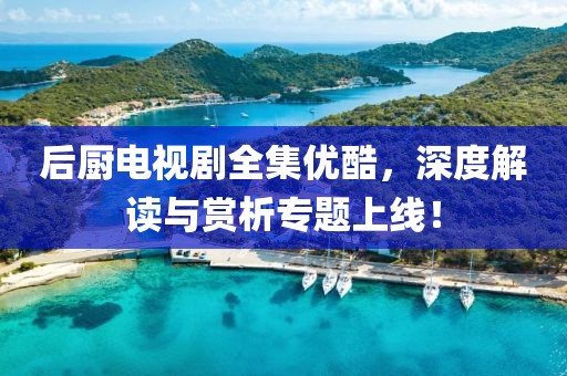 后厨电视剧全集优酷，深度解读与赏析专题上线！