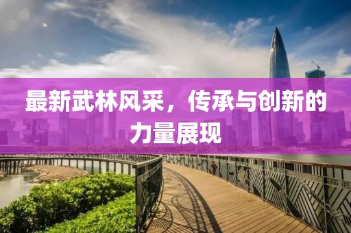 最新武林风采，传承与创新的力量展现
