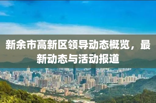 新余市高新区领导动态概览，最新动态与活动报道